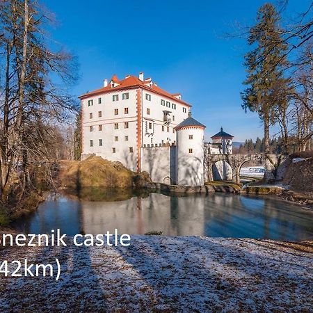 Villa Big Heart House Postojna Exterior foto