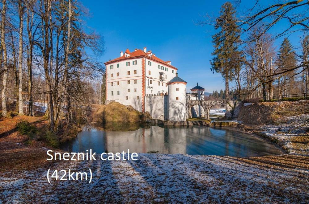 Villa Big Heart House Postojna Exterior foto